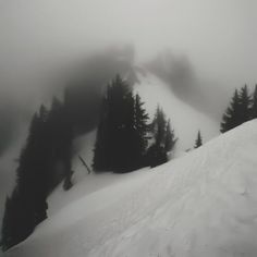 a snowboarder is going down a snowy hill with trees in the background on a foggy day