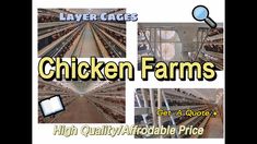 an advertisement for chicken farms with pictures of chickens