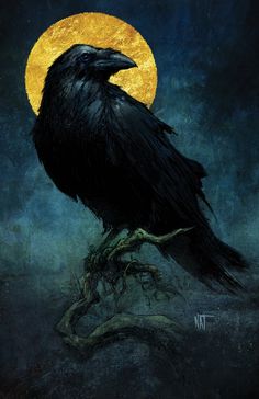 a black bird sitting on top of a tree branch in front of a full moon