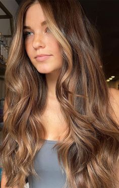 Brown Hair With Caramel Highlights And Money Pieces, Gold Blonde Highlights On Brown Hair, Highlight Copper Hair, Auburn Brown With Blonde Highlights, Brown Eyes Olive Skin Hair Color, Sandy Highlights On Brown Hair, Honey Brown Hair With Money Piece, Brunette Or Blonde, Caramel Money Piece