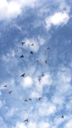 a flock of birds flying through a cloudy blue sky with white clouds in the shape of a heart