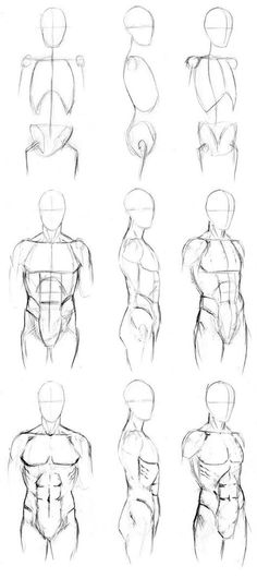 the human figure is shown in this drawing lesson