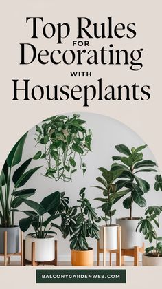 the top rules for decor with houseplants