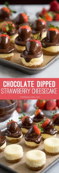 chocolate dipped strawberry cheesecakes are on a tray with strawberries in the background