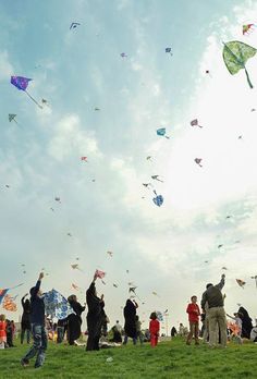 a group of people flying kites on top of a lush green field