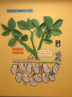 a bulletin board with paper cut out of leaves and pictures on the wall behind it