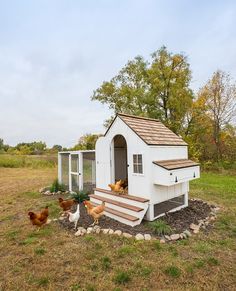 Cute Chicken Coops, Chicken Coop Garden, Backyard Chicken Coop Plans, Backyard Chicken Farming, Coop Design, Chicken Coop Designs, American Farmhouse, Farm Lifestyle, Chicken Garden