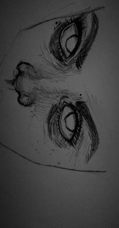 a pencil drawing of two eyes