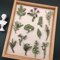 a shadow box filled with different types of flowers and leaves on display next to a white busturine