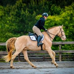 a person riding on the back of a brown horse in an arena with trees in the background