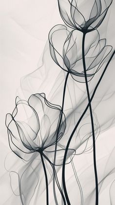 Transparent Wallpaper, Iphone Wallpaper Quotes Inspirational, Ipad Pro Wallpaper, Iphone Wallpaper Stills, Cocoppa Wallpaper, Flower Iphone Wallpaper, Simple Iphone Wallpaper, Abstract Art Wallpaper