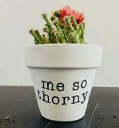 a potted plant with the words me so thorny written on it