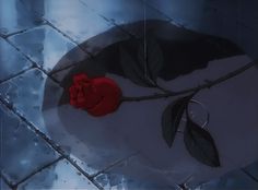 a red rose sitting on top of a tile floor