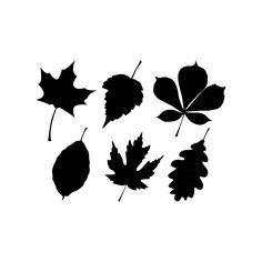 four black and white silhouettes of leaves on a white background, each leaf has an individual's own name