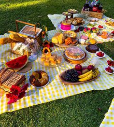 a picnic is set out on the grass with fruit and bread in front of it