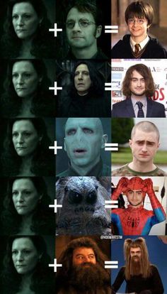 the many faces of harry potter from harry potter to hermilan, which one do you