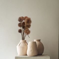 three white vases sitting on top of a table with dried flowers in each one