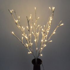 there is a vase that has some lights on it and branches in front of the wall