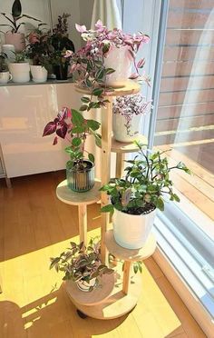 Future Apartment Decor, Plant Decor Indoor, Room Deco, House Plants Decor, Cute Room Decor, Apartment Inspiration, Room Inspiration Bedroom