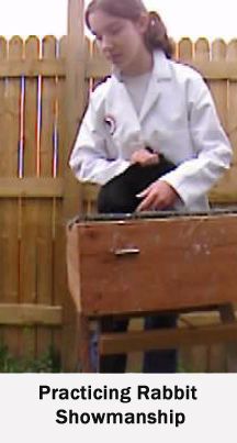 a woman sitting on top of a wooden box in front of a fence with the caption practicing rabbit showmanship