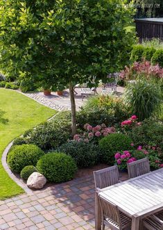 an image of a small tree in the middle of a garden with flowers and shrubs