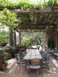 an outdoor dining area with tables and chairs under a pergolated roof, surrounded by potted plants