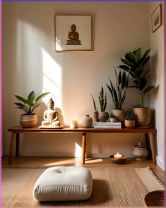 there are many plants and candles on the shelf next to each other in this room