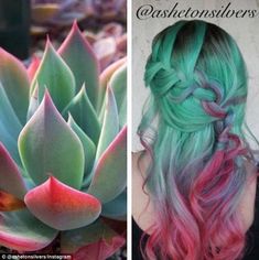 Gorgeous Green Hair Color Ideas for Beginners Pastel Green Hair, Hair Colour Design, Colored Hair, Hair Dye Colors, Hair Inspiration Color, Mermaid Hair, Cool Hair Color