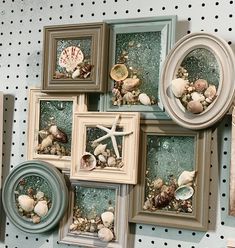 sea shells and seashells are displayed in frames on the wall behind them is a polka dot pattern