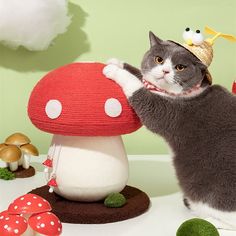 a cat wearing a crown standing next to a mushroom