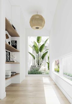 an empty hallway with wooden floors and white walls, plants in pots on the shelves