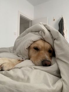 a dog laying under a blanket on top of a bed with it's eyes closed