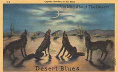 the desert blues album cover with three wolfs in front of a full moon and cactus