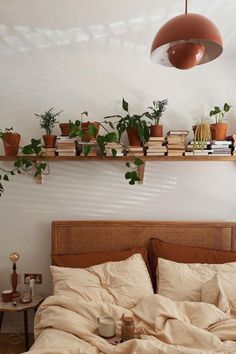 a bed with two plants on the shelves above it