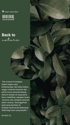 the back to nature brochure is shown with green leaves and foliage on it