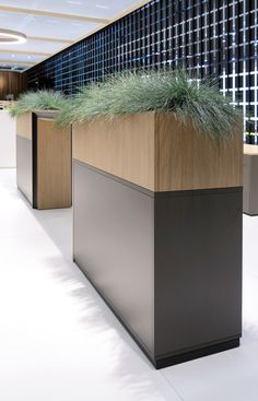 two planters with grass growing out of them in front of a black and white wall