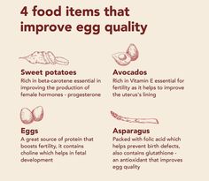 Foods To Improve Egg Quality, How To Improve Egg Quality Fertility, Improve Egg Quality Fertility, Improve Egg Quality, Pregnancy After 40, How To Increase Fertility, Fertility Nutrition, Increase Fertility, Ivf Journey