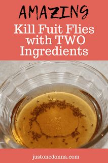 a cup filled with liquid sitting on top of a counter next to the words amazing kill fruit flies with two ingredients