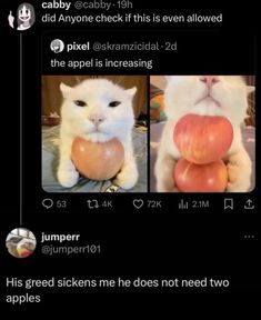 two cats are holding apples and one cat is looking at the camera with an apple in its mouth