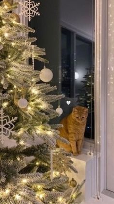 an orange cat sitting in front of a christmas tree