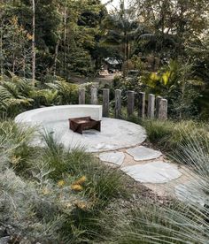 a bench sitting in the middle of a lush green forest