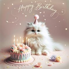 a white cat sitting next to a birthday cake