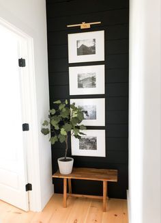 a black and white room with pictures on the wall, potted plant and bench