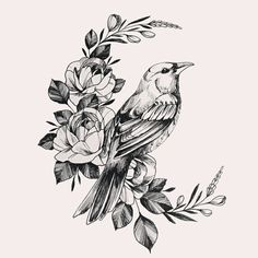 a black and white drawing of a bird sitting on a branch with flowers around it