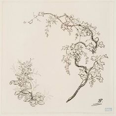 an ink drawing of a tree branch and flowers