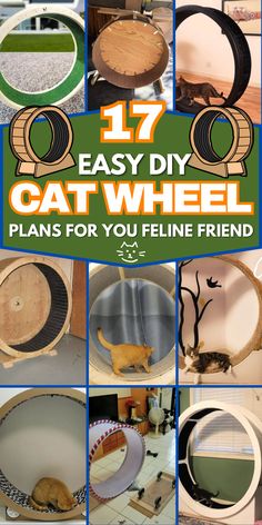 17 easy diy cat wheel plans for your feline friend that you can make