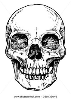 a black and white drawing of a human skull