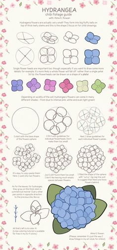 an info sheet with different types of flowers