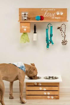 a brown dog standing next to a stove top with a bowl on it's side