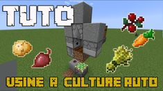 an image of a minecraft video game with the words, using a culture auto